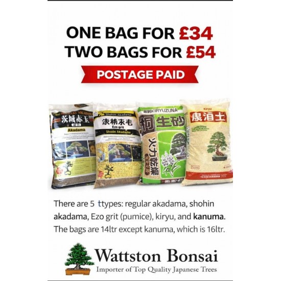 Any 2 bags for £54