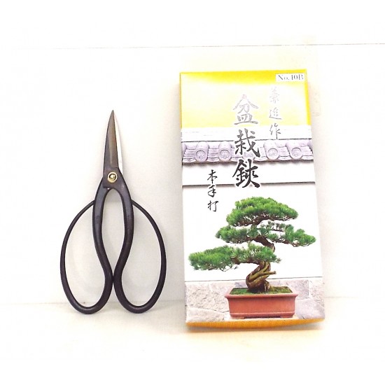 Bonsai Scissors large Bonsai Scissors large