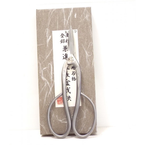 Stainless Steel Scissor Stainless Steel Scissor