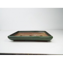 Rounded Rectangle
