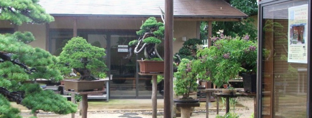 Japan  Trip 2015