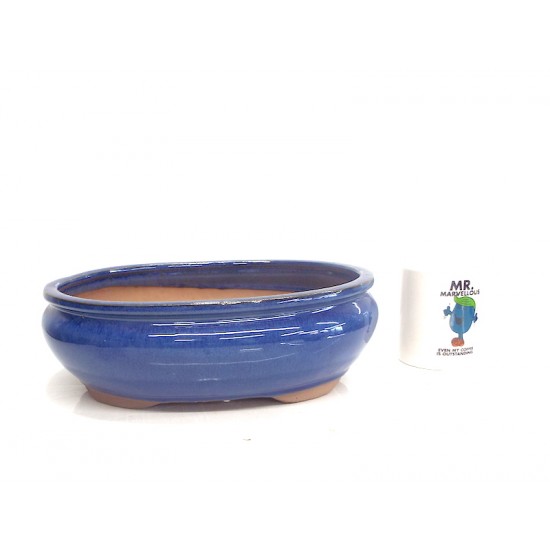 Blue oval