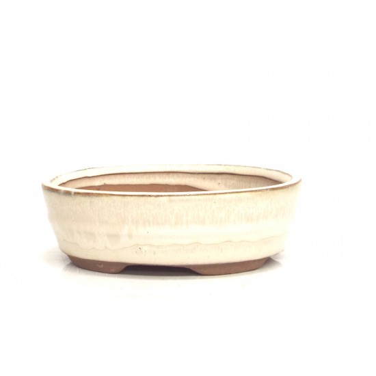 White oval
