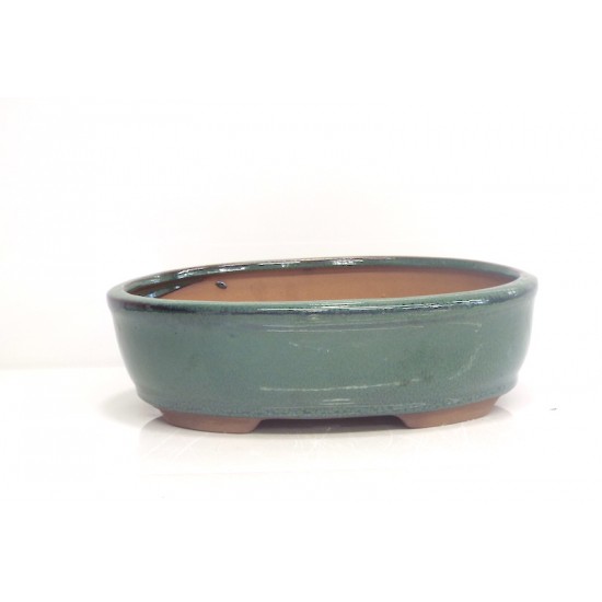 Green oval