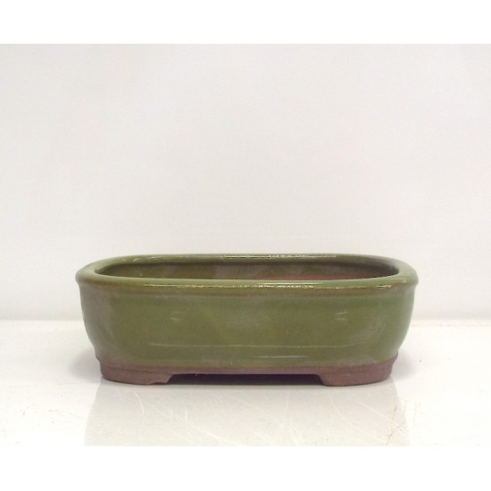 6 inch Green Rounded Rectangle