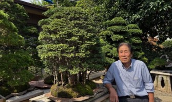 Buying trip Japan 25/26