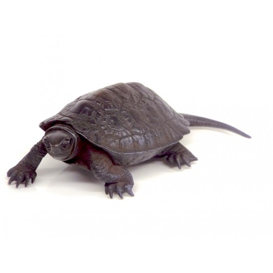 Large turtle Large turtle