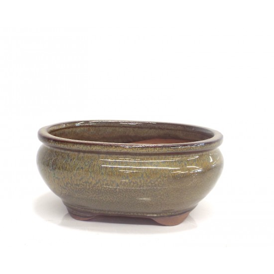 oval olive
