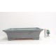 New " Reiho " rectangle New " Reiho " rectangle