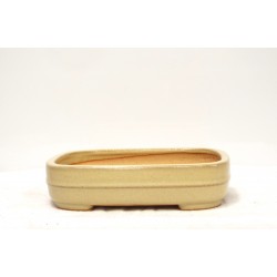 Rounded Rectangle { free postage }