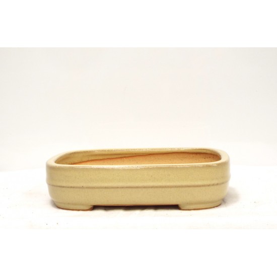 Rounded Rectangle { free postage } Rounded Rectangle { free postage }