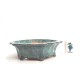 New "Shuho " pot New "Shuho " pot