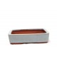 Rounded Rectangle {free postage } Rounded Rectangle {free postage }