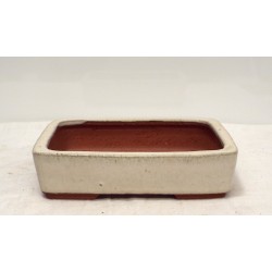 Rounded Rectangle { free postage }