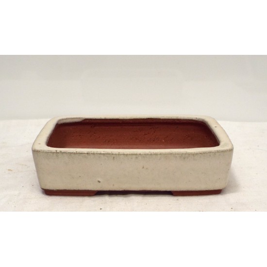Rounded Rectangle { free postage } Rounded Rectangle { free postage }
