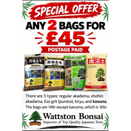Any 2 bags Any 2 bags