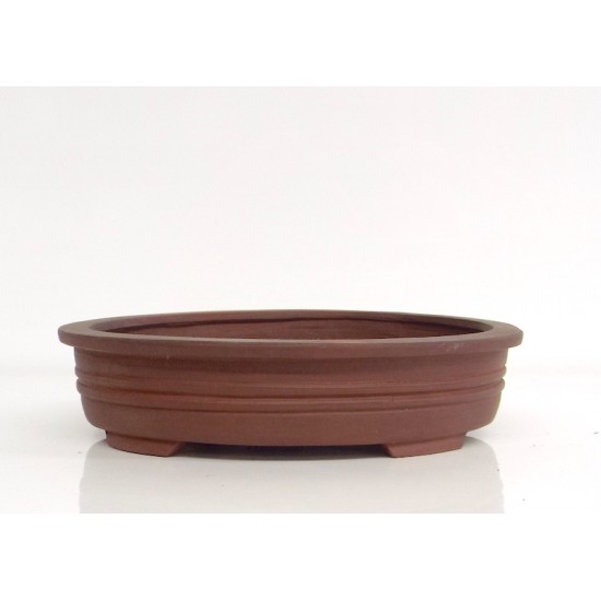 Watanabe oval