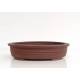 Watanabe oval