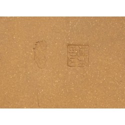 Watanabe oval