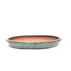 Watanabe oval