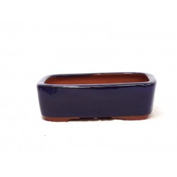 Rounded Rectangle { free postage }