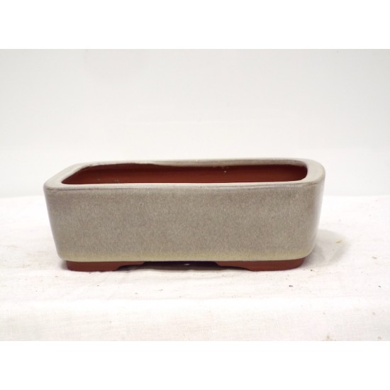 " Youzan " Rounded Rectangle 