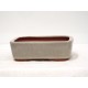 " Youzan " Rounded Rectangle 