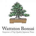 Yoshi Bonsai Tools